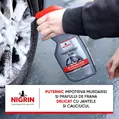 Solutie curatare jante Nigrin Performance, 500 ml 